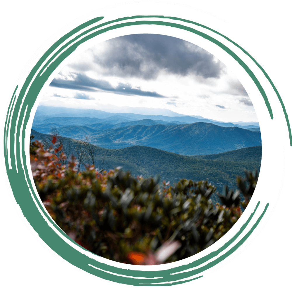 emeraldarbor-exterior-hendersonville-nc-1