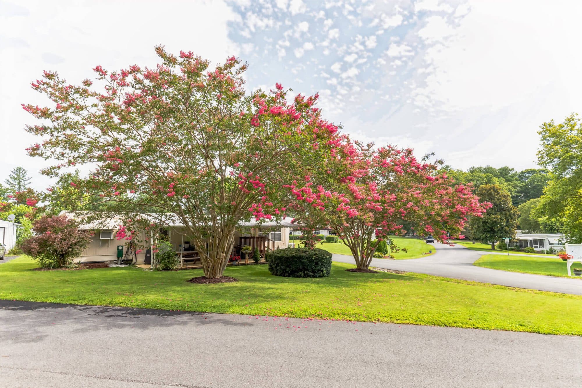 emeraldarbor-exterior-hendersonville-nc-23